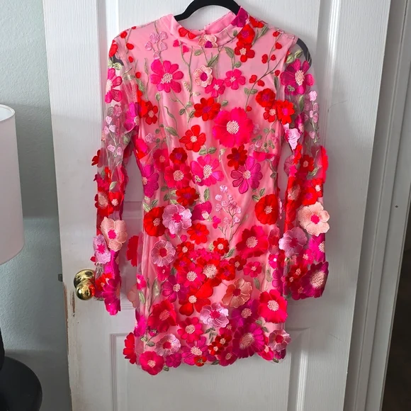 Fashion Nova | Dresses | Fashion Nova Embroidery Mini Drezs Med | Poshmark